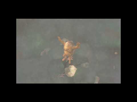 Twilight Princess: Alternative Setup for Goron Bomb Bag without Water Bombs (NORGOR)