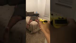 Testing My Stun Gun. #shorts