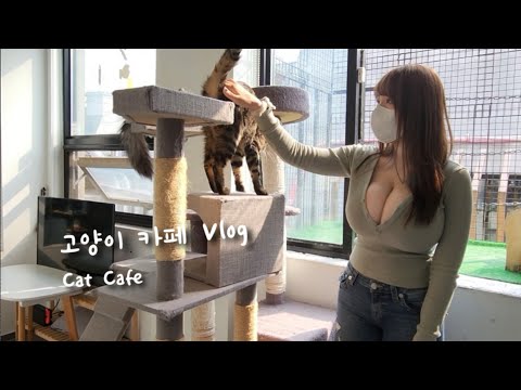 아이콘