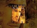 I Am David