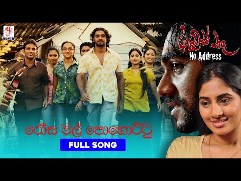 රෝස මල් පොහොට්ටු | Rosa Mal Pohottu | Address Ne | Nirosha Virajini