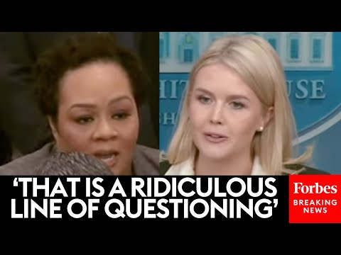 Karoline Leavitt Goes Head-To-Head With NBC's Alcindor Over Trump Claims About White South Africans