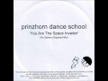 Prinzhorn Dance School - You Are The Space ...