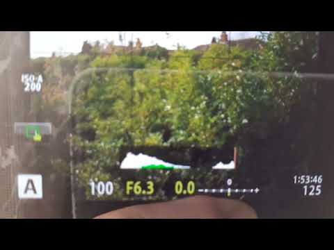 OMDS Olympus OMD EM5 Mark iii high resolution 50 megapixel shot mode. My wrong first impression!