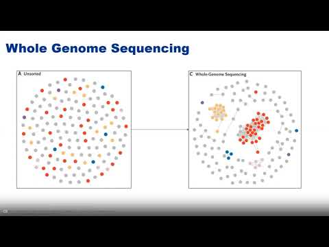 WEBINAR - Real-time Whole Genome Sequencing Surveillance for Healthcare Outbreak Detection and...