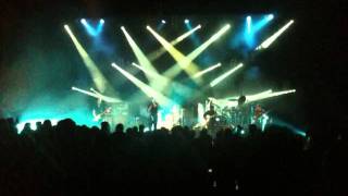 Cactus World News 'The Bridge'