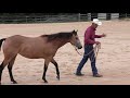 Does Your Horse Respect Your Back? - Episode 57 (Herm Gailey)