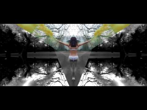Rashid Ajami & Jerome Robins - The Messenger // Official Video