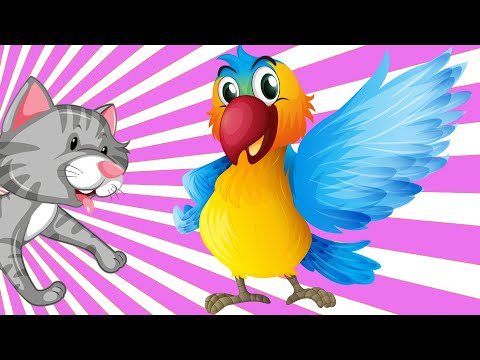 EVCİL HAYVANLARI TANIYALIM | Nenna ile Hayvanları Öğrenelim