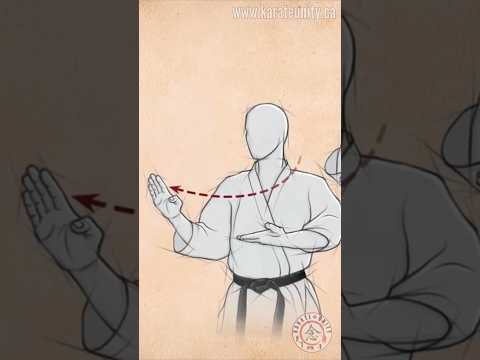 Shuto Uke Knife Hand Application #shorts #karate #martialarts