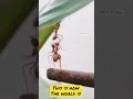 Meaningful WhatsApp Status Whatsappstatus Dontworry Allok Kannada