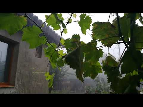 Ploaie torențială in Dor-Mărunt cum nu am mai văzut