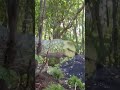 Visiting The Detroit Zoo With Dinosaurs