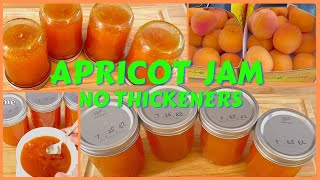 Apricot Jam Amber , Thick , no added thickeners Filling for any pastries.  Simple, Tasty and Healthy