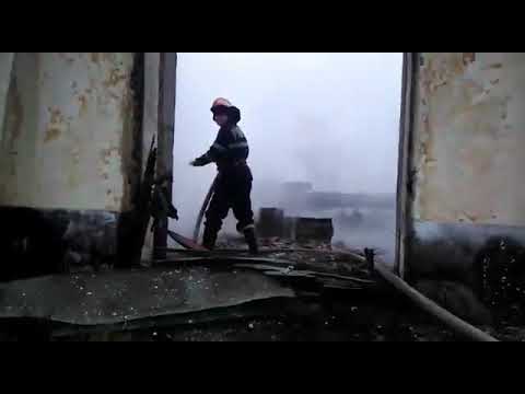 Incendiu la hala cu faina de oase din Dudesti