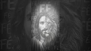 a mansidão que acalma a alma e a força que vence o impossível. 🙏🦁 #fé #deus #leãodejudá #motivação