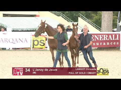 Show AQPS Ouest 2021 - Lot  34