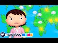 Weather Song Little Baby Bum Nursery Rhymes Kids Songs