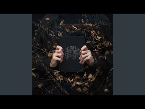 Video thumbnail for Кости (Bones)