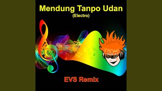 Download lagu Mendung Tanpo Udan (Electro) mp3 Download lagu Mendung Tanpo Udan (Electro) mp3