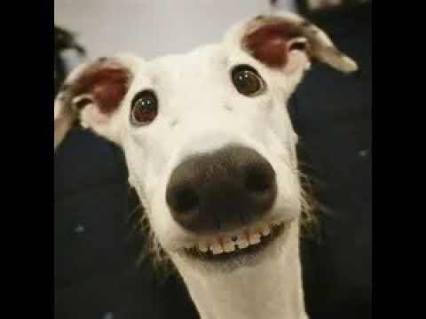 beating asterios(hardest the nightmare)