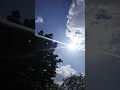 The Sky and trees