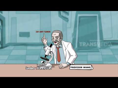 SI OTAN | SERBA SERBI GEKO (14/02/18) 1-3