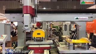 MÁY CNC 5 Trục 2 Bàn thay dao tự động Woodmaster