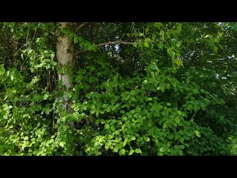 Probealarm 2xE57 + SES500   sind direkte Nachbarn