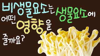 비생물요소는 생물에 어떤 영향을 줄까요? ■주요개념: 비생물요소, 햇빛, 물 [초등 과학 5학년 2학기 2단원 6차시 ]