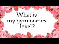 Gymnastics 3