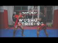 WUSHU | Basic Wushu Striking Techniques | Team Lakay Instructional