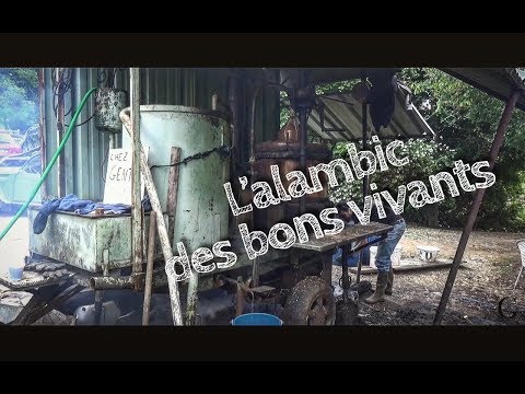 L'alambic des bons vivants - Terroirs de gueuletons