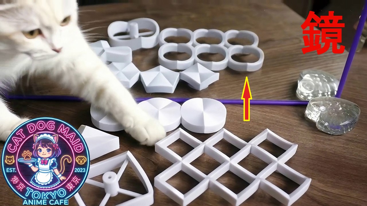 Anime Cafe■ありえない不思議物体　実物と鏡に映る映像が全く違う不可能物体　謎解きは真上からの映像で判明する【猫　柴犬　メイド】