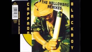 cappadonna   black boy the mellowbag remixes)