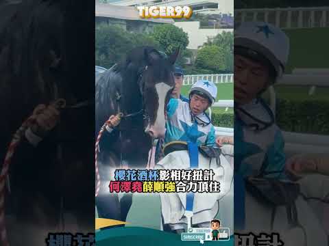 櫻花酒杯影相好扭計 何澤堯薛順強合力頂住 #hkracing #賽馬直擊 #嘉應高昇