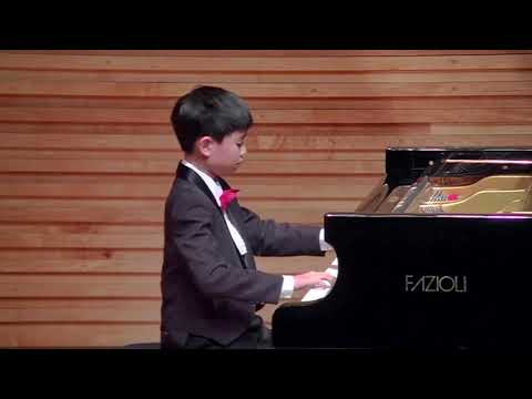 OMWPA 2016 - CHAN Shao Yong: Gala Concert at the Menuhin Hall (Friday 23rd December 2016)