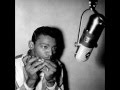 Little Walter - Don't Need No Horse