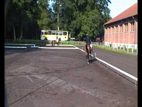 Wedstrijd UDR 25/08/2013