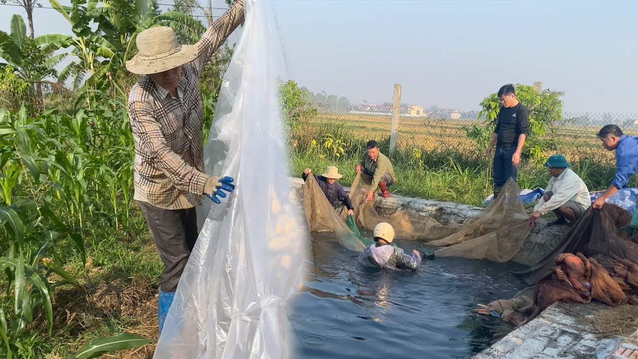 The Easy Way to Plant Seeds and Catch Fish Without Breaking a Sweat -  A Simple Day on the Farm