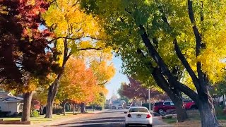 Stockton California in the Fall Season / Asian Supermarket Shopping