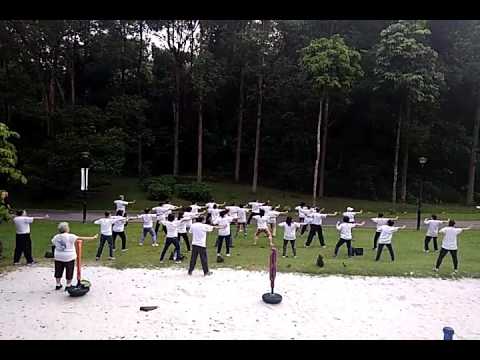 Health Qigong (Ba Duan Jin)