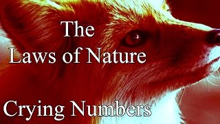 "Crying Numbers" by Ashley Franz Holzmann | MrCreepyPasta's Storytime