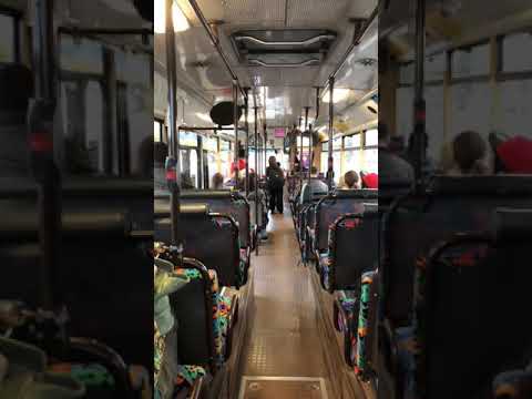 Transport Canberra Bus #909 Renault PR100.2 Ansair MK 2 Route 56 Voith Part One