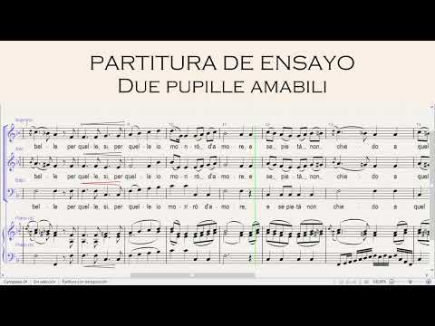 Nocturnos Mozart - 3 Due pupille amabili - partitura de ensayo voz masculina
