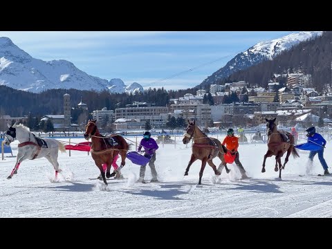 White Turf 2024 St. Moritz Skikjöring Snow Horserace 🏇 4K Switzerland
