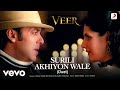 Surili Akhiyon Wale Duet (Video) - Veer |Salman, Zarine |Rahat Fateh Ali Khan |Sunidhi