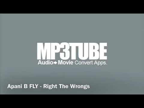 Apani B FLY - Right The Wrongs
