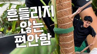 수태봉 아직도 흔들리게 꽂으시나요?