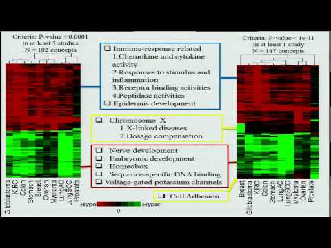 LRpath Analysis Reveals Common Pathways Dysregulated via DNA Methylation... - Maureen Sartor